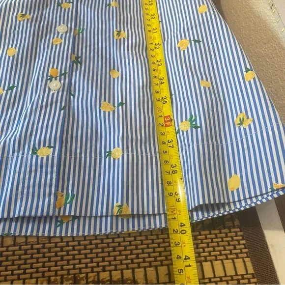 J.Crew Lemon Print Shirt Dress Blue Striped Sleeveless Belted Summer Size 10 - Picture 10 of 10